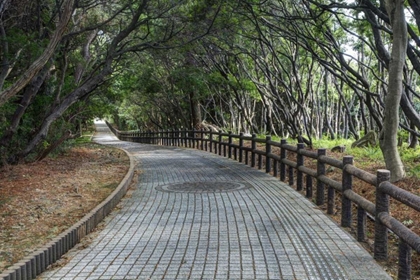 Picture of JAPAN, WAKAGAMA PREFECTURE BRICK PATHWAY