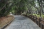 Picture of JAPAN, WAKAGAMA PREFECTURE BRICK PATHWAY