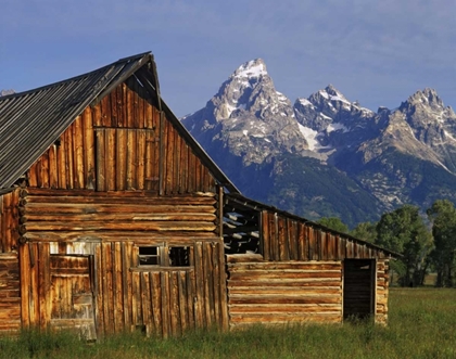 Picture of WY, GRAND TETONS A WEATHERED WOODEN BARN