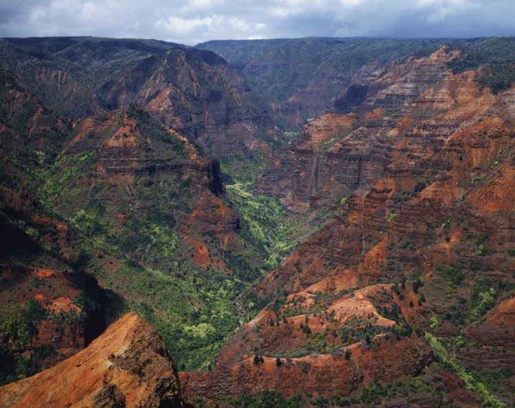 Picture of USA, HAWAII, KAUAI WAIMEA CANYON OVERLOOK