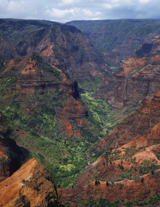 Picture of USA, HAWAII, KAUAI WAIMEA CANYON OVERLOOK