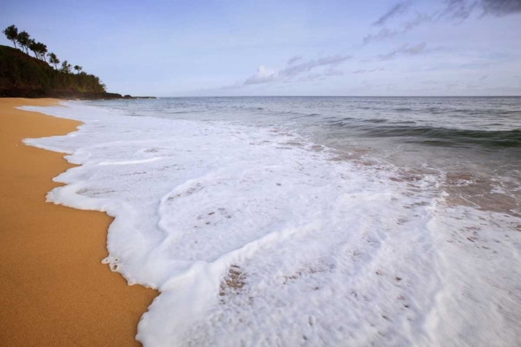 Picture of USA, HAWAII, KAUAI SCENIC OF SECRET BEACH