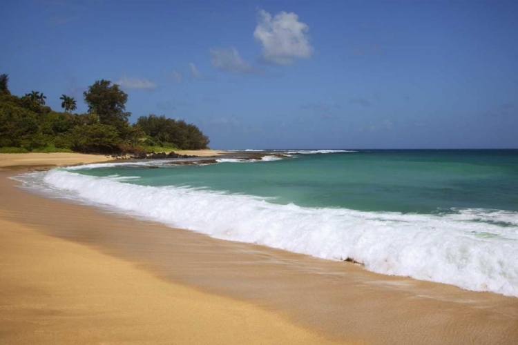 Picture of USA, HAWAII, KAUAI SCENIC OF SECRET BEACH