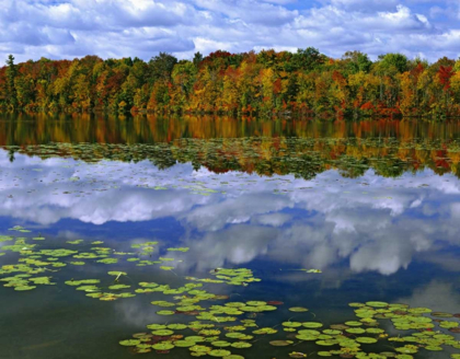 Picture of CANADA, ONTARIO PARK HAVEN LAKE IN AUTUMN