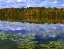 Picture of CANADA, ONTARIO PARK HAVEN LAKE IN AUTUMN
