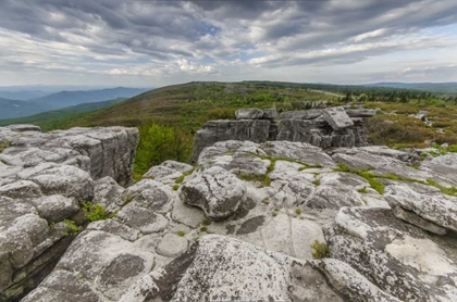 Picture of WV, LANDSCAPE IN DOLLY SODS WILDERNESS AREA