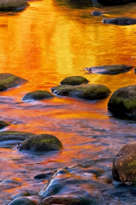 Picture of PA, DELAWARE WATER GAP BRIGHT SUN ON WATER