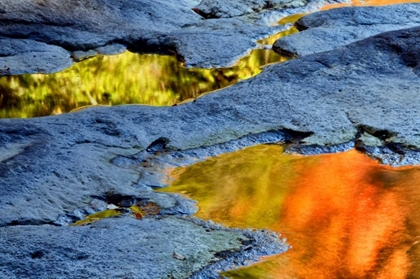 Picture of WV, BLACKWATER FALLS SP AUTUMN REFLECTIONS