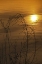 Picture of PA, PHILADELPHIA, SUNSET REFLECTION ON LAKE