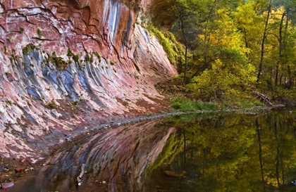 Picture of AZ, SEDONA CLIFF RECFLECTION ALONG A CREEK