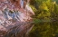 Picture of AZ, SEDONA CLIFF RECFLECTION ALONG A CREEK