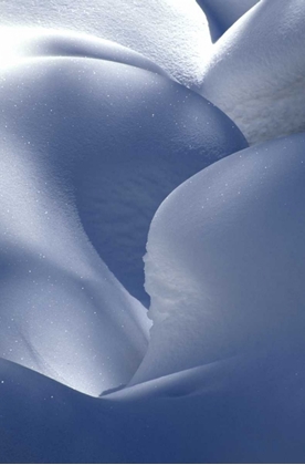 Picture of USA, COLORADO, STEAMBOAT SPRINGS SNOW MOUND