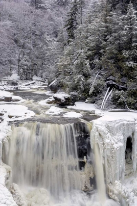 Picture of WEST VIRGINIA WATERFALL IN WINTER LANDSCAPE