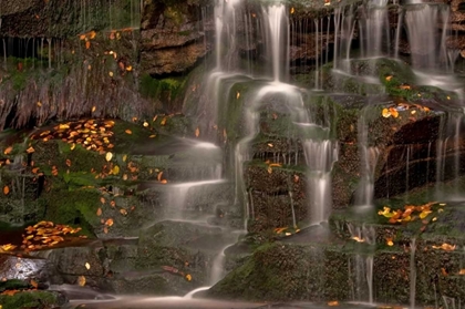 Picture of WV, BLACKWATER FALLS WATERFALL ON ROCK FACE