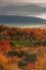 Picture of WV, DOLLY SODS WILDERNESS SUNRISE LANDSCAPE