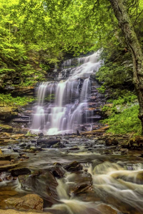 Picture of PENNSYLVANIA, RICKETTS GLEN SP MOHICAN FALLS