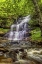 Picture of PENNSYLVANIA, RICKETTS GLEN SP MOHICAN FALLS