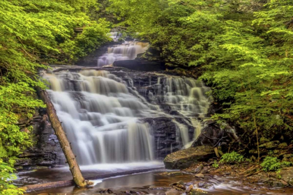 Picture of PENNSYLVANIA, RICKETTS GLEN SP MOHICAN FALLS