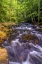 Picture of PENNSYLVANIA, RICKETTS GLEN SP KITCHEN CREEK