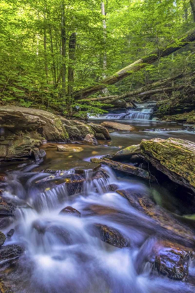 Picture of PENNSYLVANIA, RICKETTS GLEN SP KITCHEN CREEK