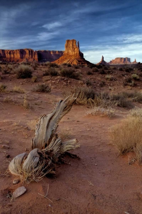 Picture of UTAH, MONUMENT VALLEY ERODED ROCK FORMATIONS