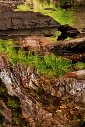 Picture of AZ, SEDONA, VERDEE VALLEY SPRING REFLECTIONS