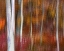 Picture of PA, DELAWARE WATER GAP NRA ABSTRACT OF TREES