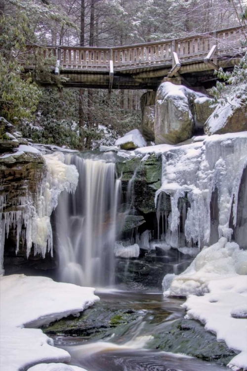 Picture of WV, BLACKWATER FALLS SP BRIDGE AND WATERFALL