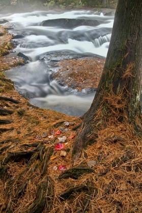 Picture of USA, NEW YORK, INLET MIST OVER RUSHING STREAM