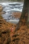 Picture of USA, NEW YORK, INLET MIST OVER RUSHING STREAM