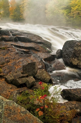 Picture of USA, NEW YORK, INLET MIST OVER RUSHING STREAM