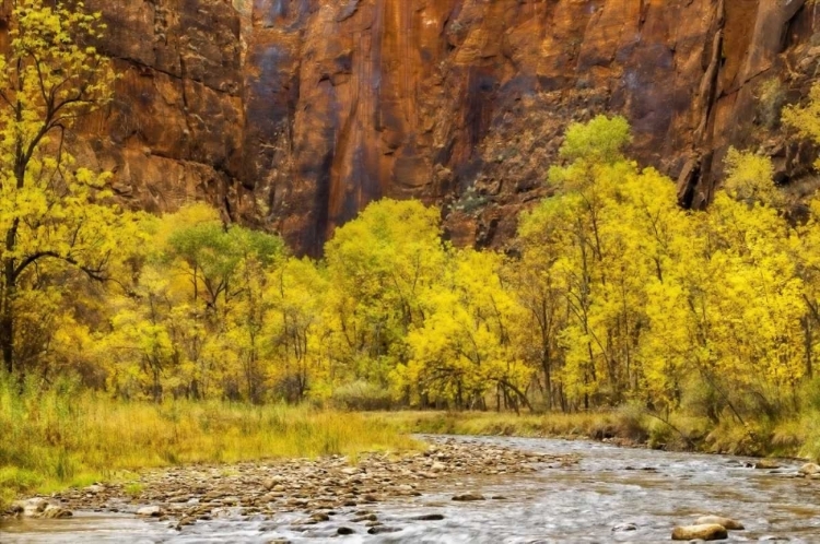 Picture of USA, UTAH, ZION NP STREAM IN AUTUMN LANDSCAPE