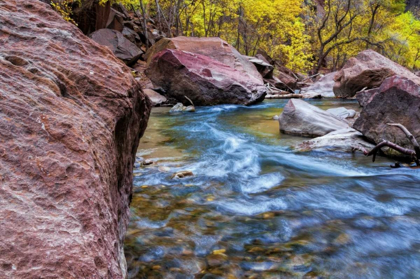 Picture of USA, UTAH, ZION NP STREAM IN AUTUMN LANDSCAPE