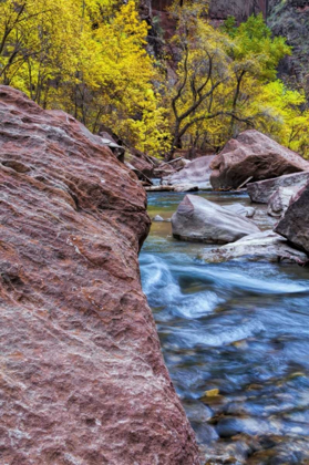 Picture of USA, UTAH, ZION NP STREAM IN AUTUMN LANDSCAPE