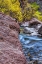 Picture of USA, UTAH, ZION NP STREAM IN AUTUMN LANDSCAPE