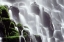 Picture of OR, RAMONA FALLS WATERFALL CASCADES DOWN A CLIFF
