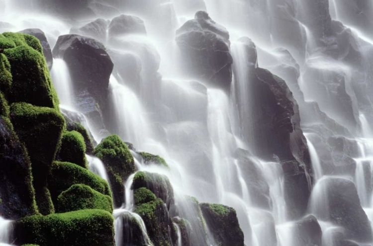 Picture of OR, RAMONA FALLS WATERFALL CASCADES DOWN A CLIFF