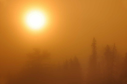 Picture of CANADA, MANITOBA SUNRISE FOG AT LYONS LAKE