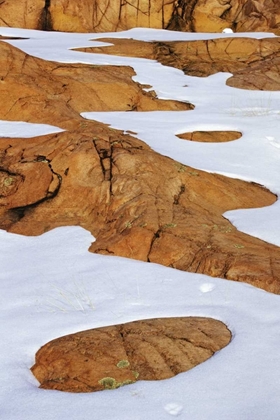 Picture of CANADA, KILLARNEY PP ANIMAL TRACKS IN SNOW