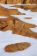 Picture of CANADA, KILLARNEY PP ANIMAL TRACKS IN SNOW