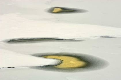 Picture of CANADA, ONTARIO WATER POOLS ON LAKE JOSEPH