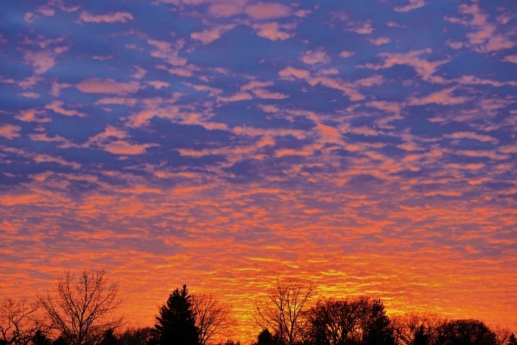 Picture of CANADA, MANITOBA, WINNIPEG CLOUDS AT SUNSET