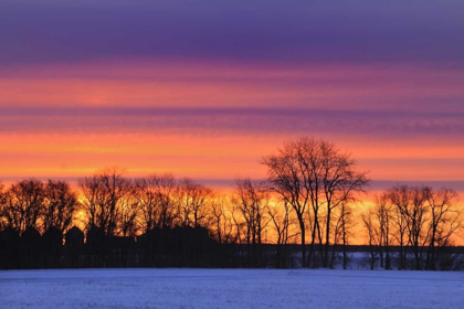 Picture of CANADA, MANITOBA, DAUPHIN FARMSTEAD AT DUSK