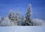 Picture of CANADA, MANITOBA, BIRDS HILL PROVINCIAL PARK