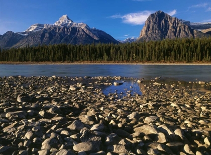 Picture of CANADA, ATHABASCA RIVER AND CANADIAN ROCKIES