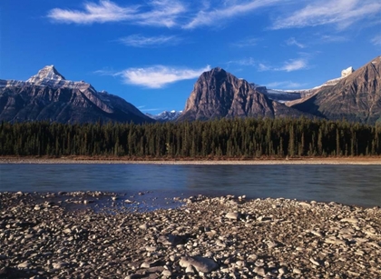 Picture of CANADA, ATHABASCA RIVER AND CANADIAN ROCKIES