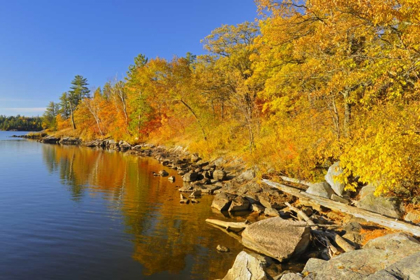 Picture of CANADA, ONTARIO, AUTUMN AT LAKE OF THE WOODS