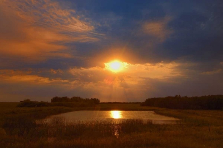 Picture of CANADA, SASKATCHEWAN, DUBUC SUNSET OVER POND