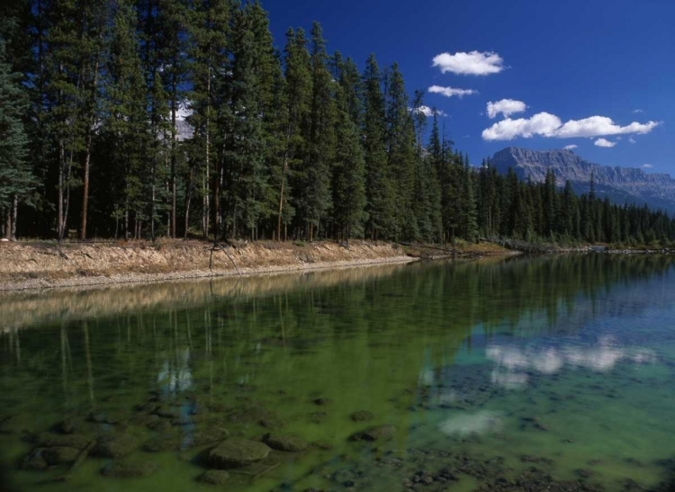 Picture of CANADA, ALBERTA, CANADIAN ROCKIES AT BANFF NP