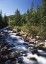 Picture of CANADA, ALBERTA, MOUNTAIN STREAM IN JASPER NP